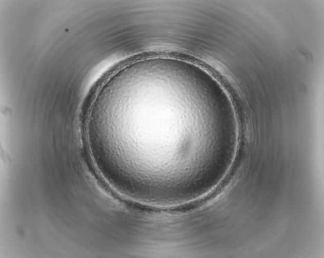 X0000091331022200708101422