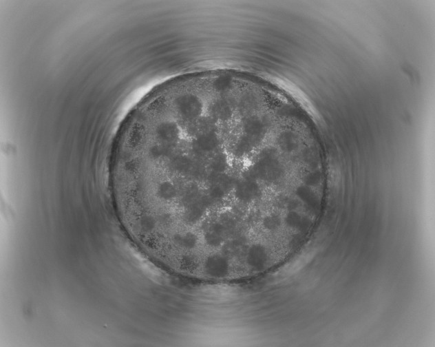X0000091331023200708101422