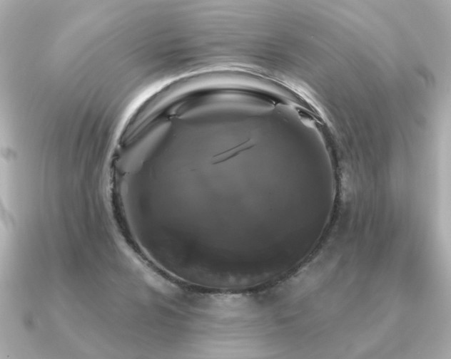 X0000091331024200708101422