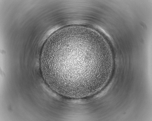 X0000091331025200708101422