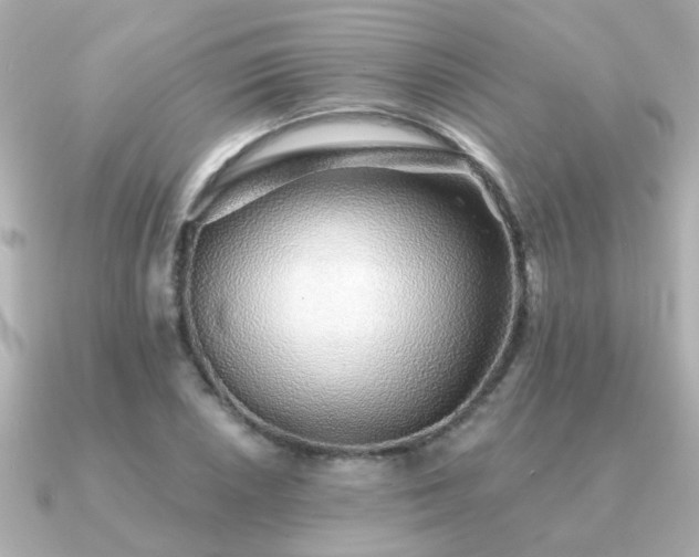 X0000091331026200708101422
