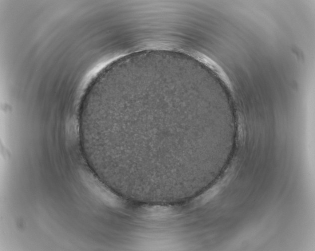 X0000091331027200708101422