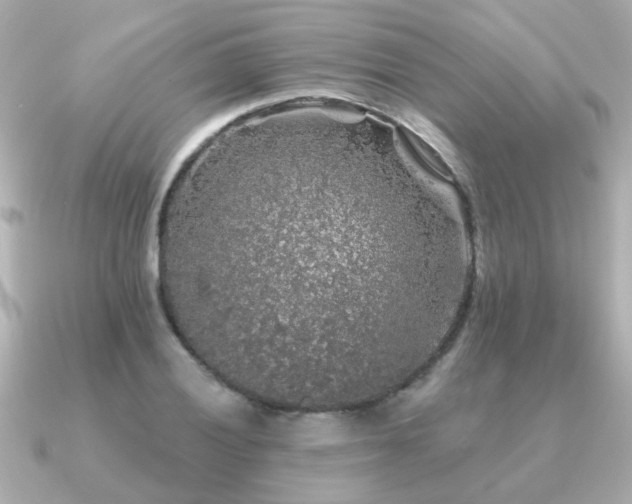 X0000091331028200708101422