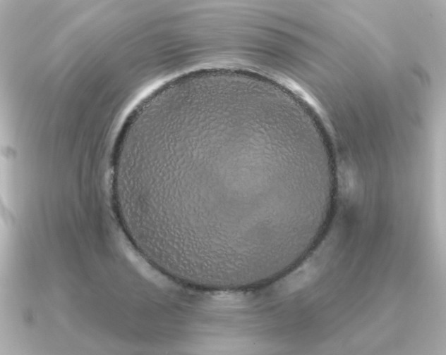 X0000091331029200708101422