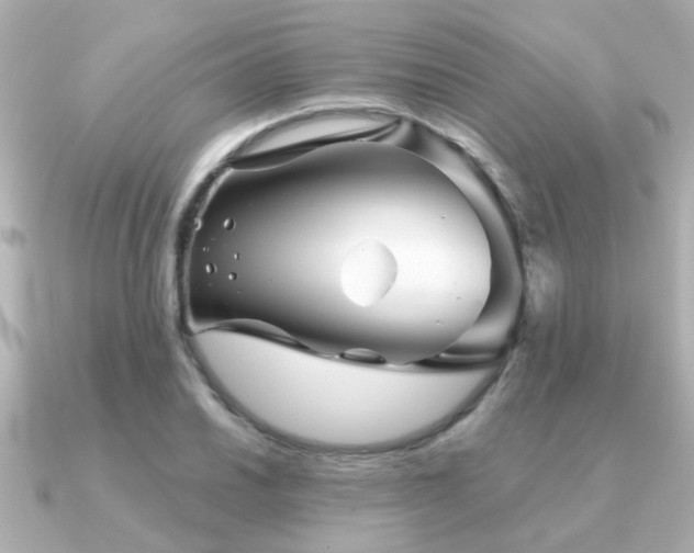 X0000091331030200708101422