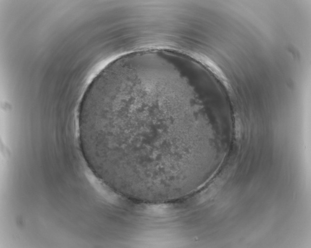 X0000091331031200708101422
