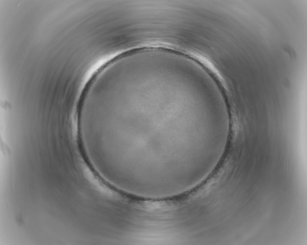 X0000091331032200708101422