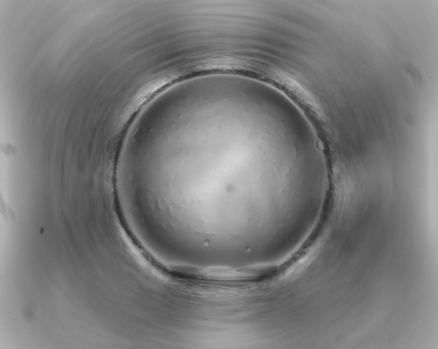 X0000091331033200708101422