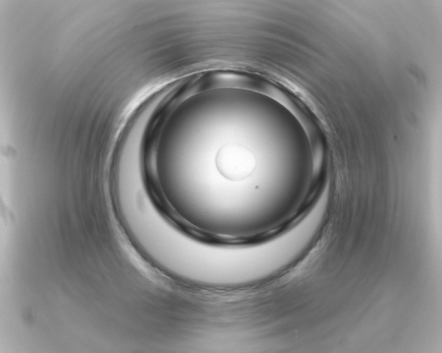 X0000091331034200708101422