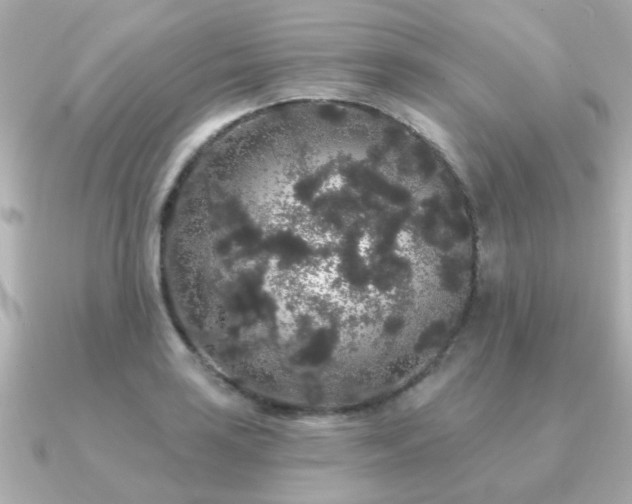 X0000091331035200708101422