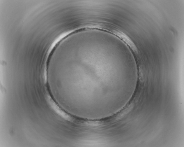 X0000091331036200708101422