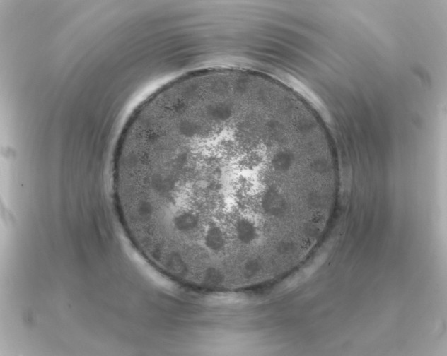 X0000091331037200708101422