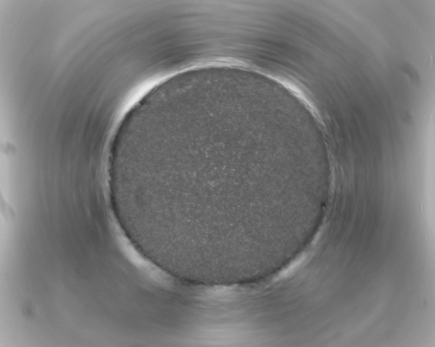 X0000091331038200708101422