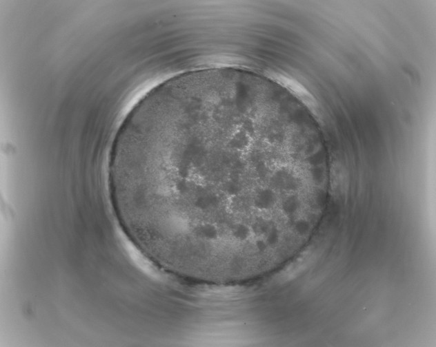 X0000091331039200708101422