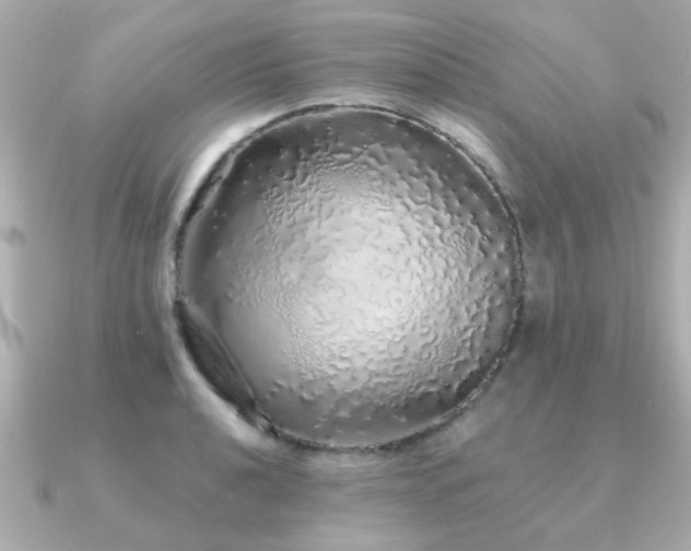 X0000091331040200708101422