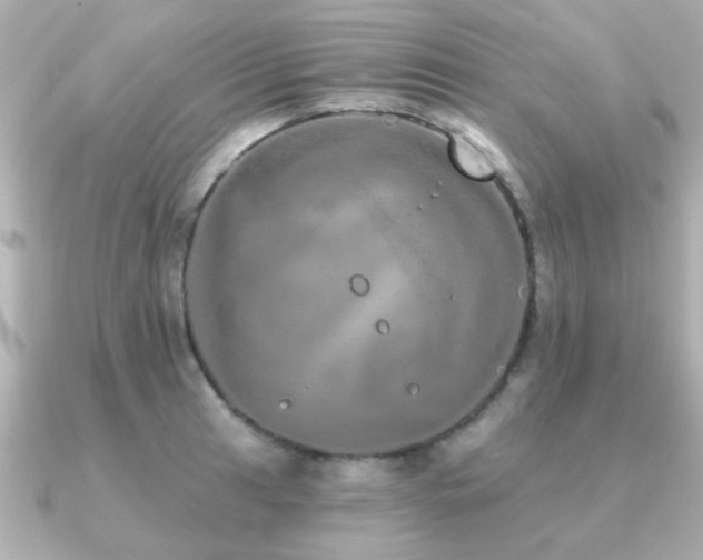 X0000091331041200708101422