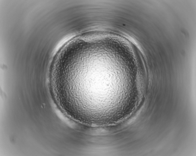 X0000091331042200708101422