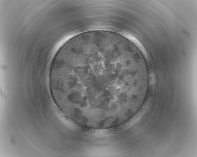 X0000091331043200708101422