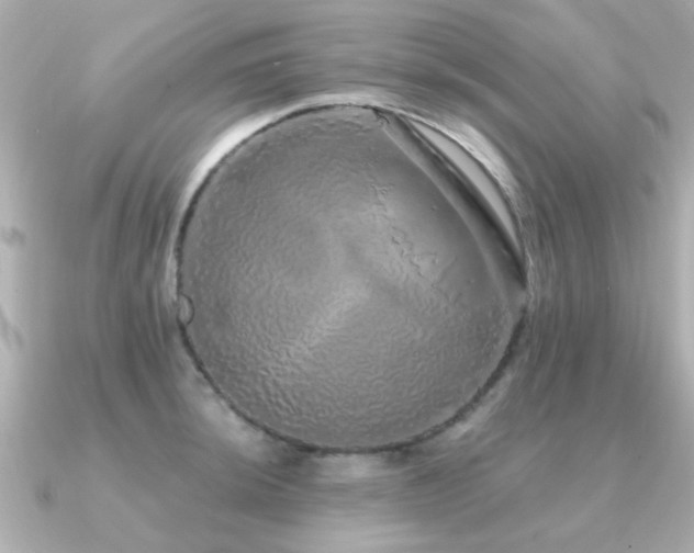 X0000091331044200708101422