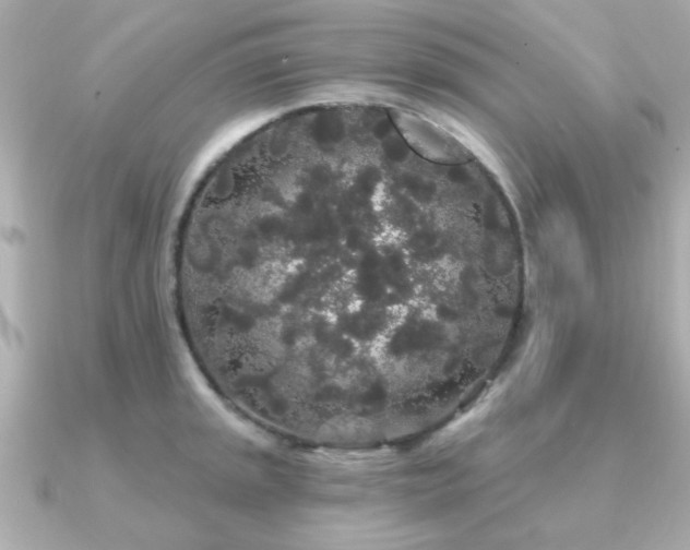 X0000091331045200708101422