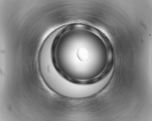X0000091331046200708101422