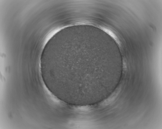 X0000091331047200708101422