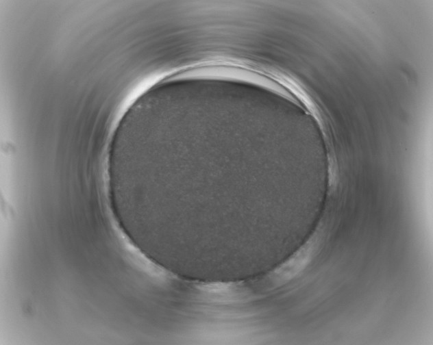 X0000091331048200708101422