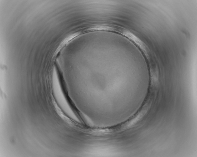 X0000091331049200708101422