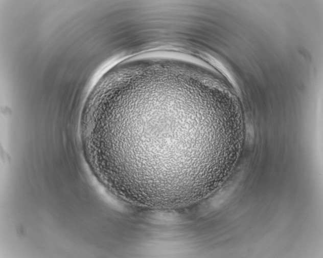 X0000091331050200708101422