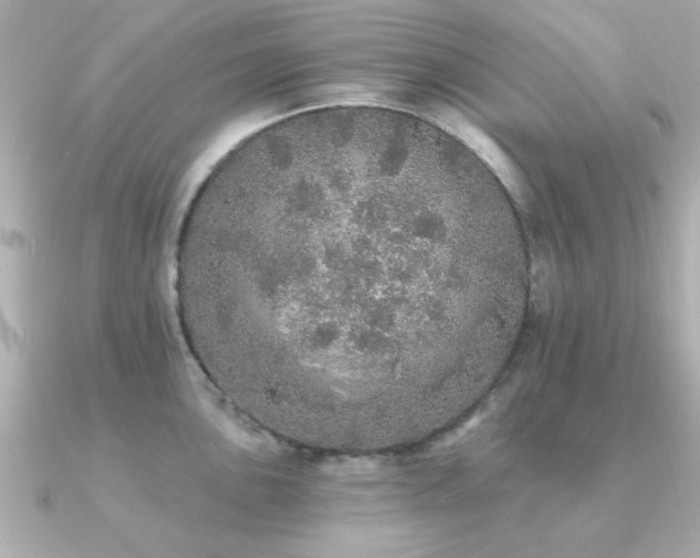 X0000091331051200708101422