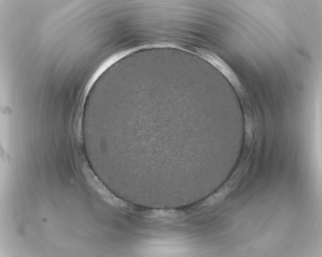X0000091331052200708101422