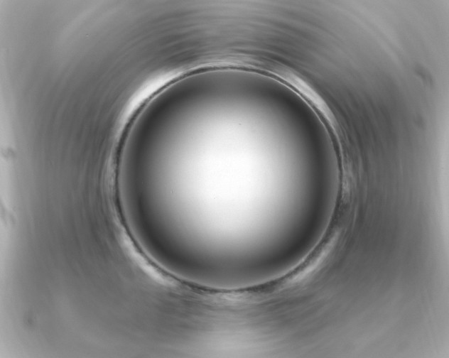 X0000091331053200708101422