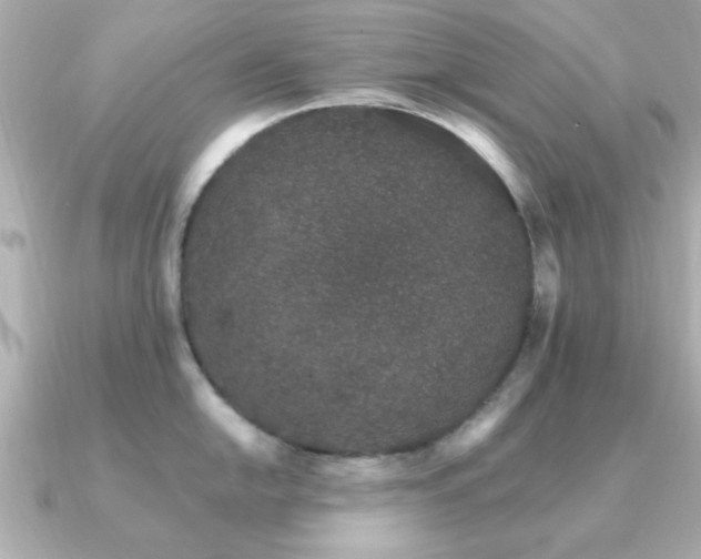 X0000091331054200708101422