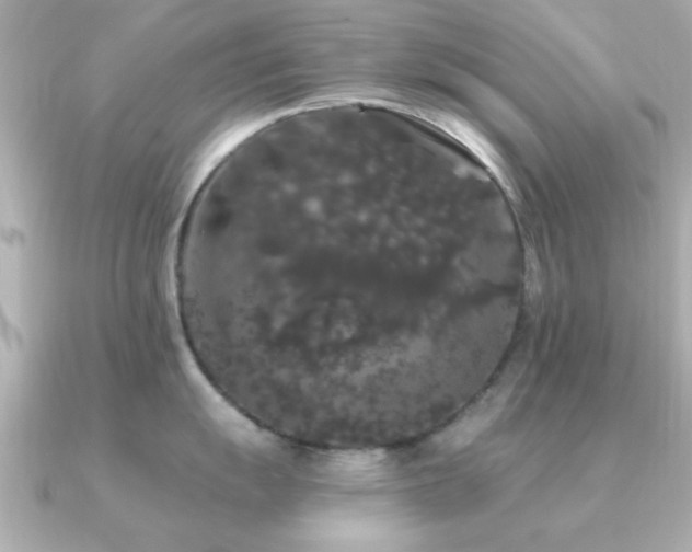 X0000091331055200708101422