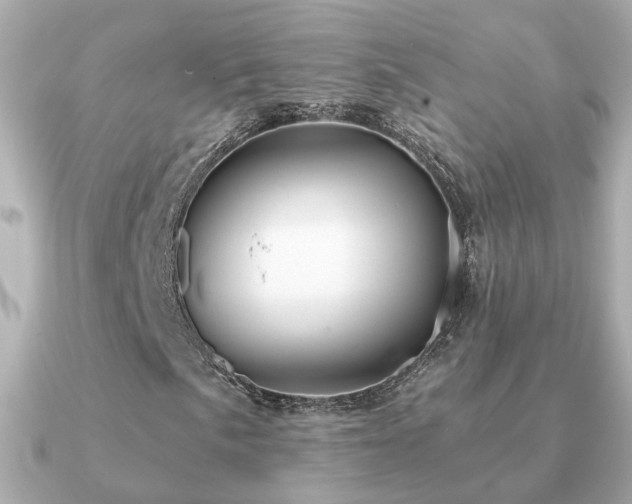 X0000091331057200708101422