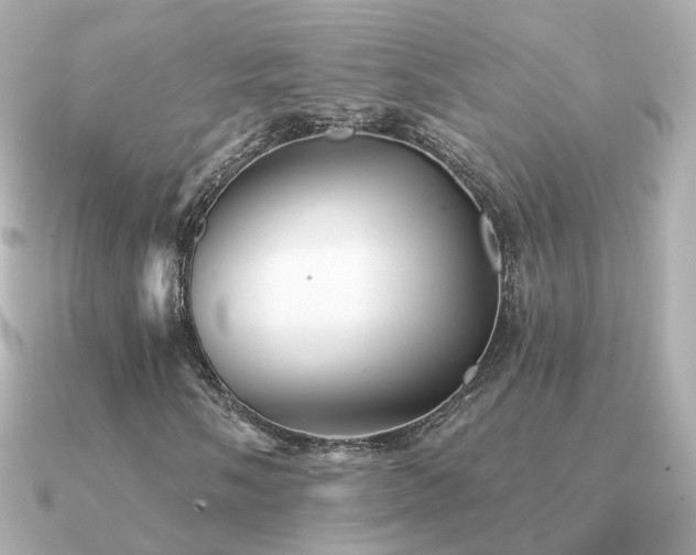 X0000091331058200708101422