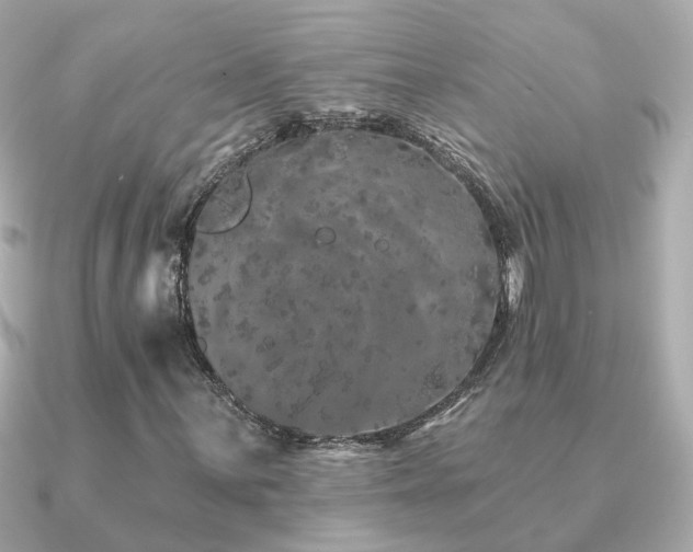 X0000091331059200708101422