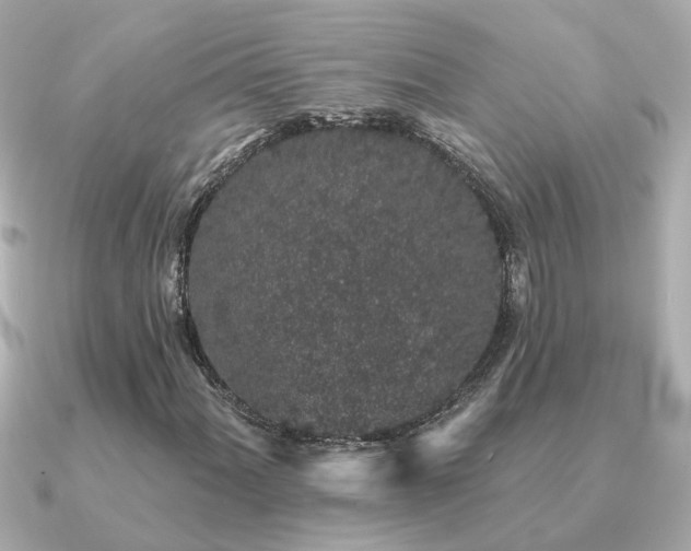 X0000091331060200708101422