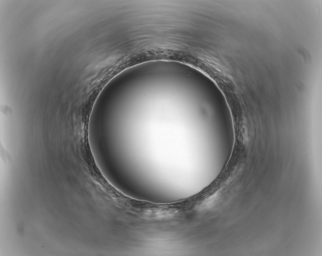 X0000091331061200708101422