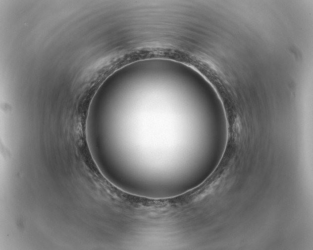 X0000091331062200708101422