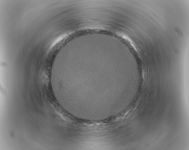 X0000091331064200708101422