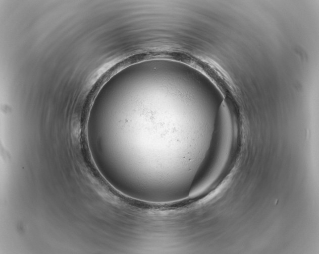 X0000091331065200708101422