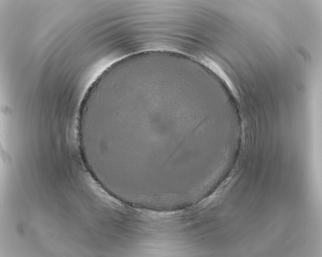 X0000091331068200708101422