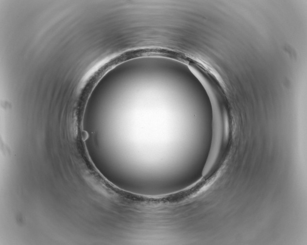 X0000091331069200708101422
