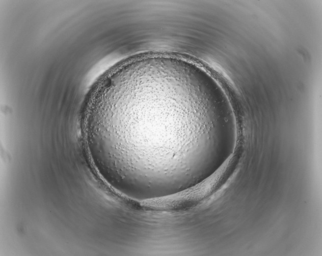 X0000091331070200708101422