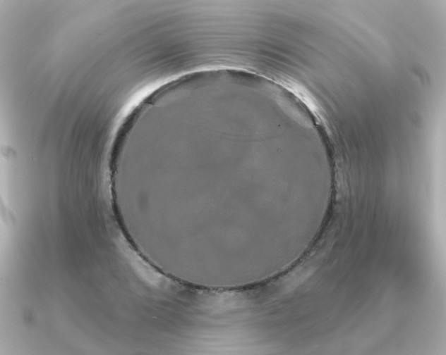 X0000091331072200708101422