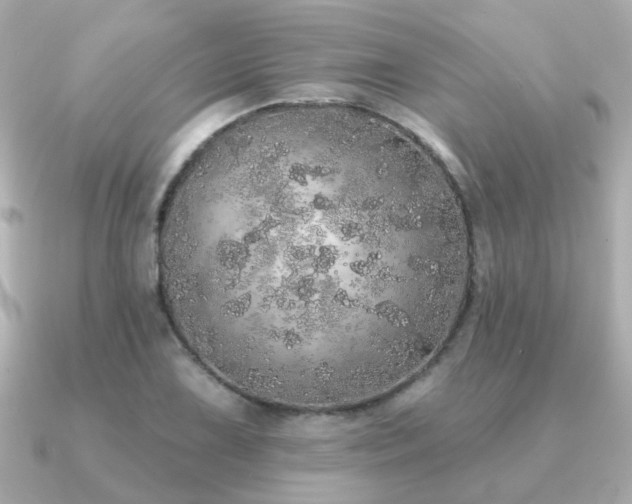 X0000091331075200708101422
