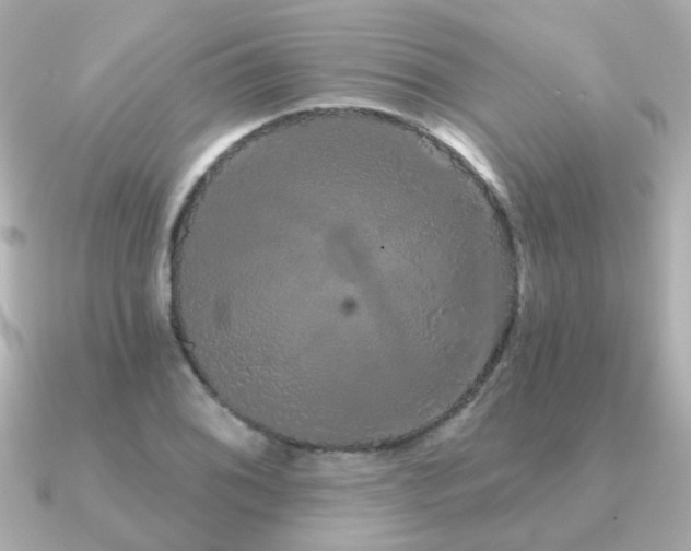 X0000091331076200708101422