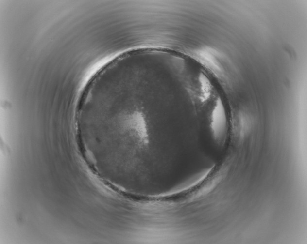 X0000091331077200708101421