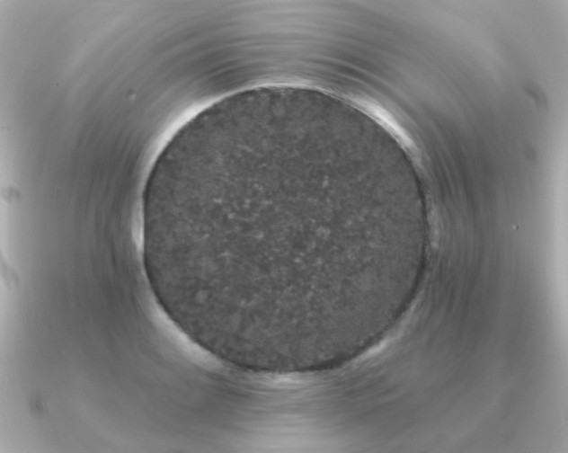 X0000091331084200708101421